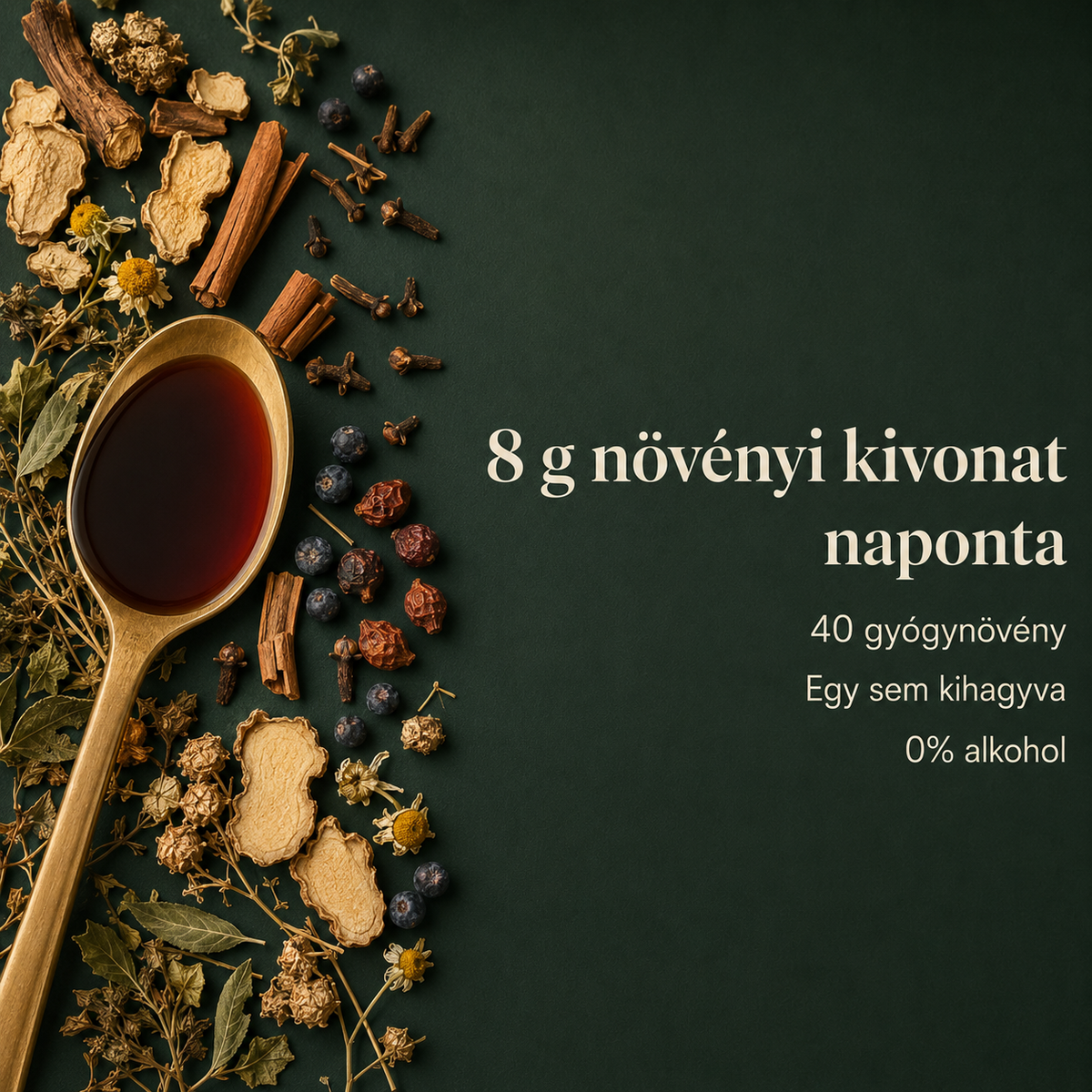 Proactive Svédcsepp 40 Gyógynövény Komplex, Alkoholmentes (500 ml)