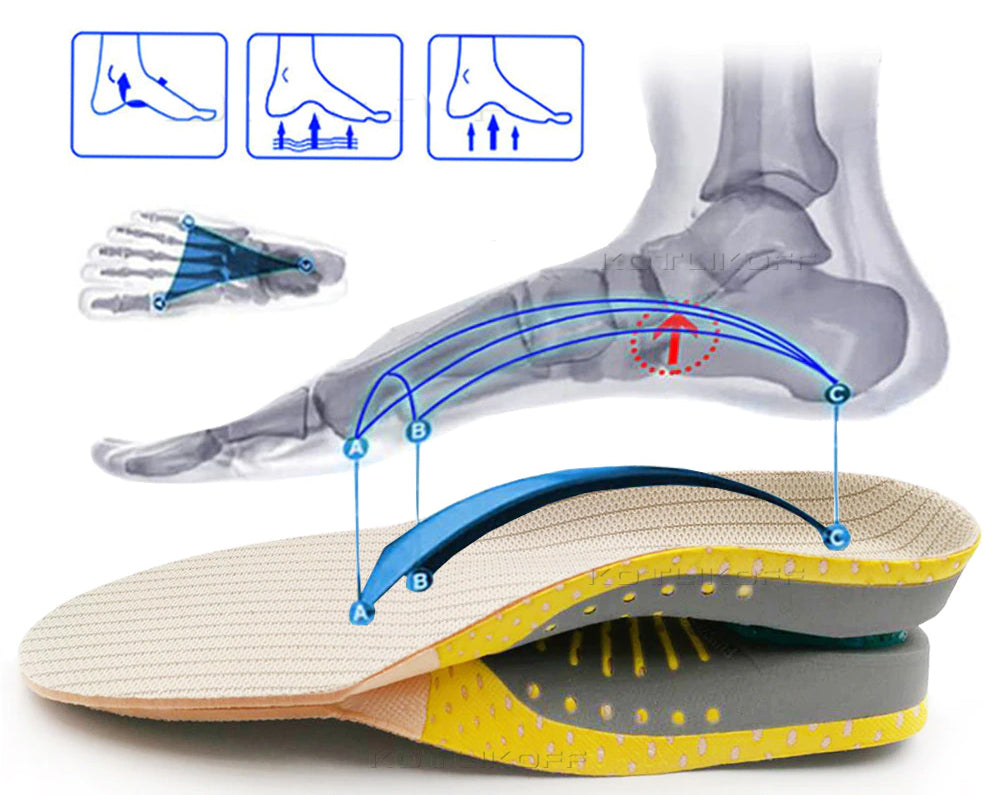 Talpic anatomic cu zonă conturată pentru boltă