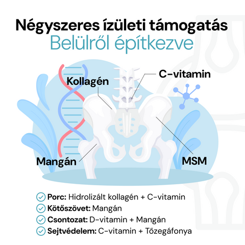HydroJoint – 5+2 napos ízülettámogató kúra
