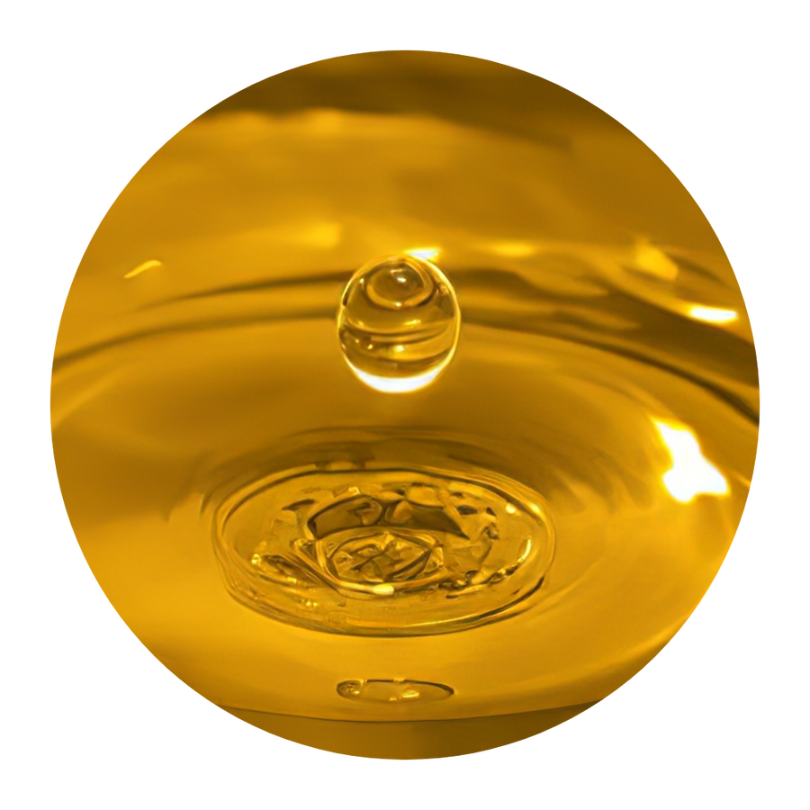 Glicerin
