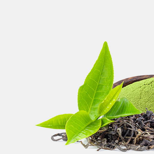 EGCG
