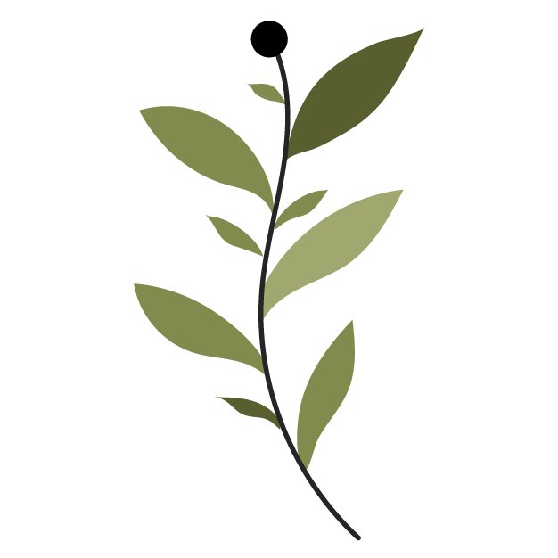 Phellodendron