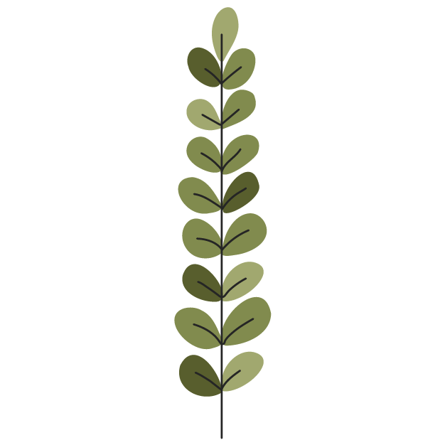 Sophora Flavescens